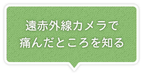 遠赤外線カメラで痛んだところを知る