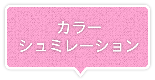 カラーシュミレーション