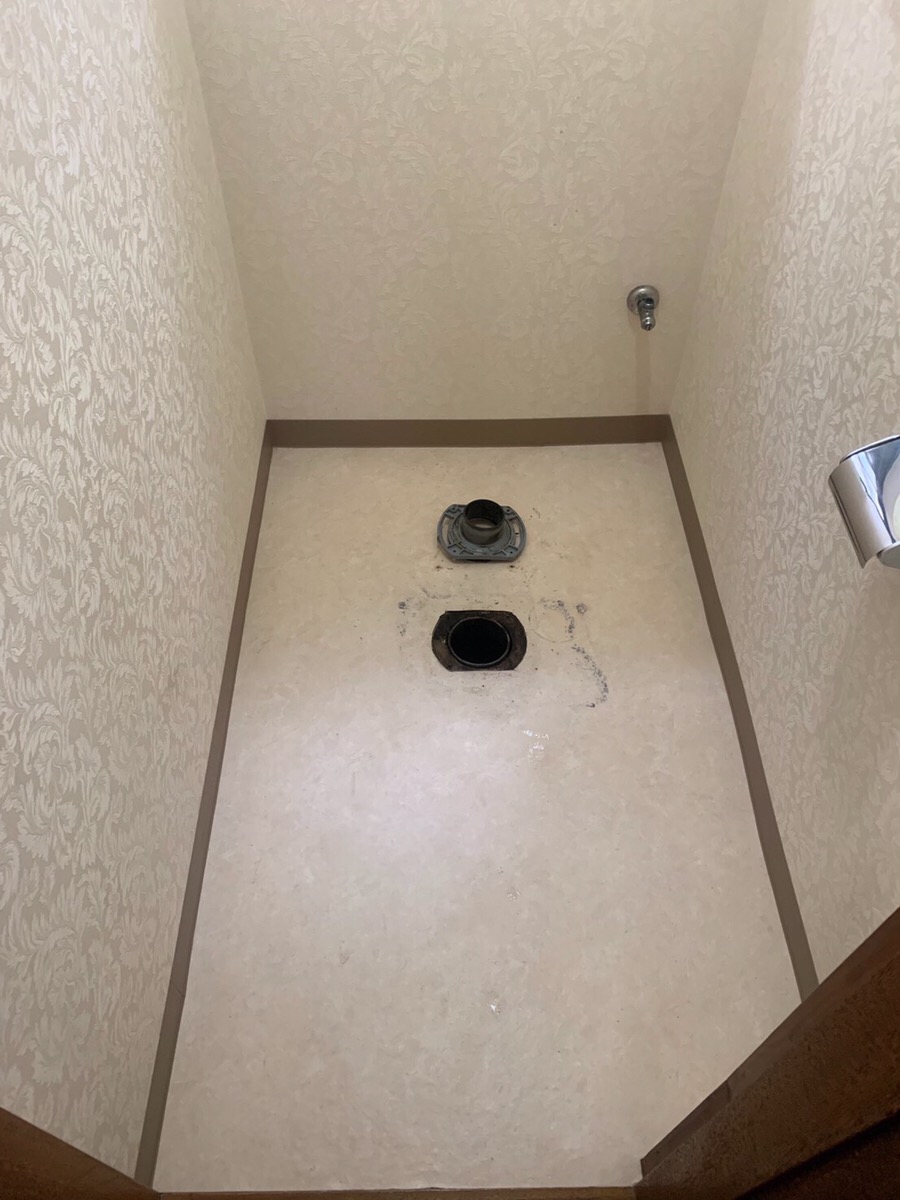 ②便器を取り外してみると、フランジの周りにカビがビッシリ。