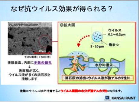 なぜ抗ウイルス効果が得られる？