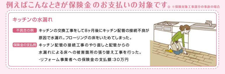 例えばこんなときが保険金のお支払いの対象です。